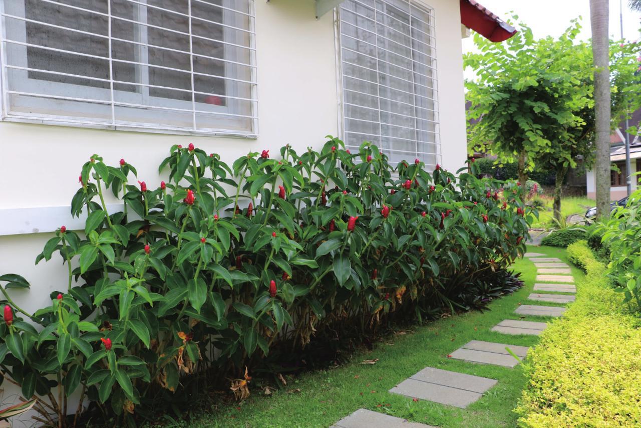 Diyar Villas Puncak M4/12 Exterior photo